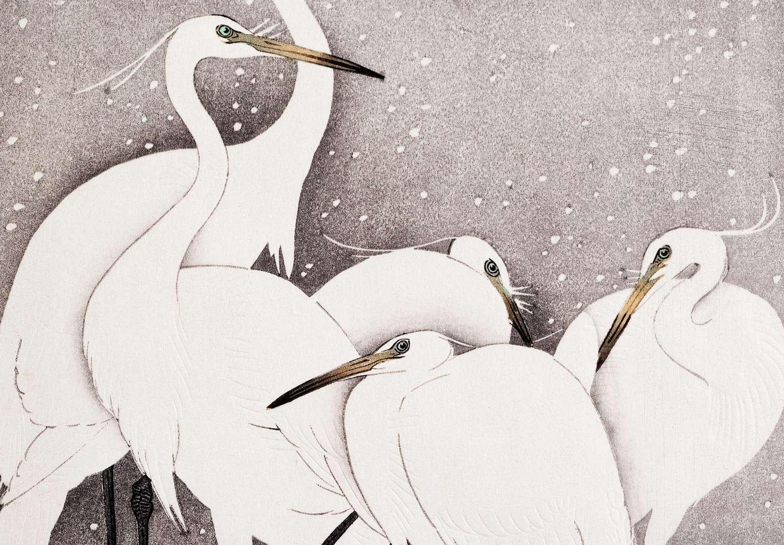 Reprodukcija „Garniai“, Ohara Koson