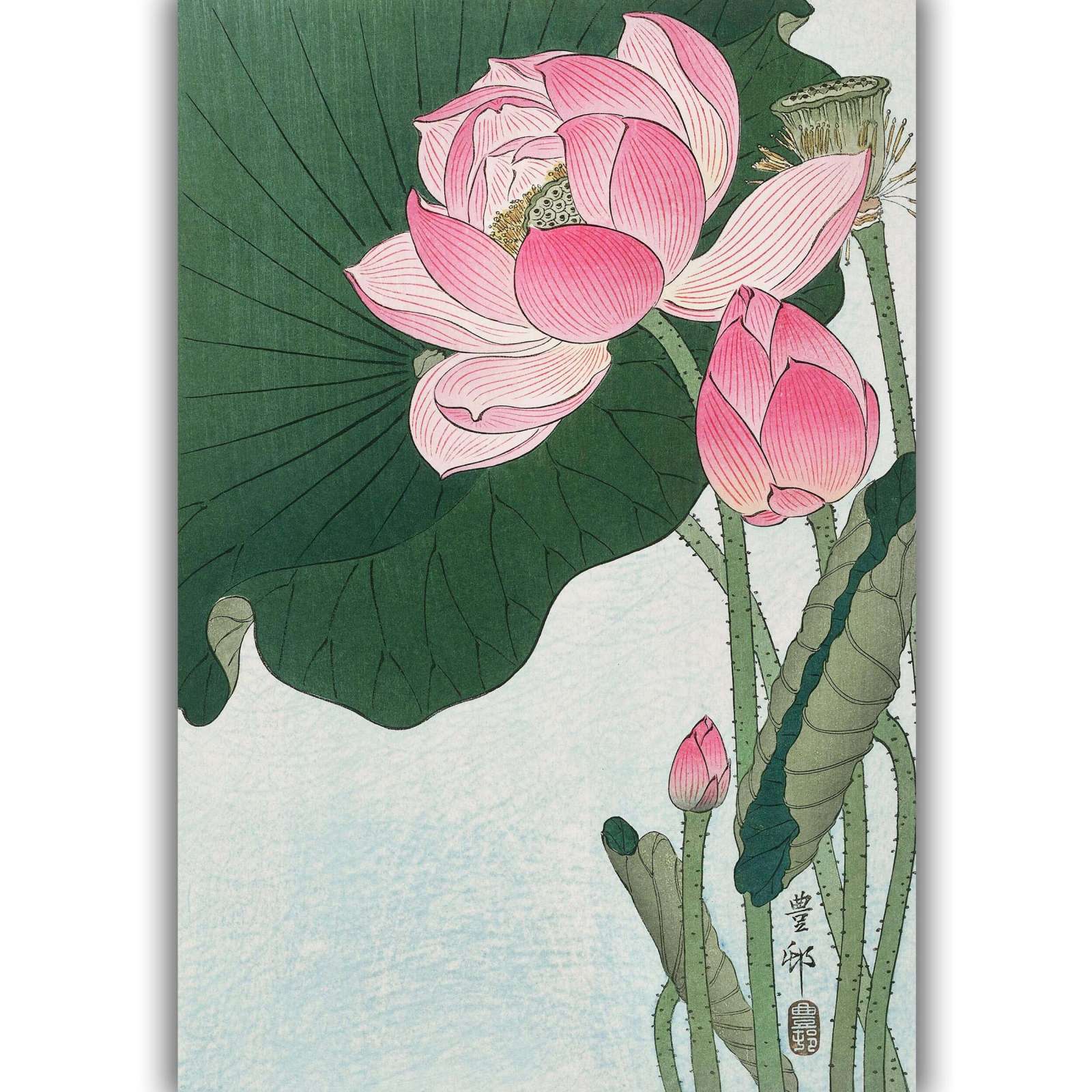 Reprodukcija „Žydintis lotosas“, Ohara Koson