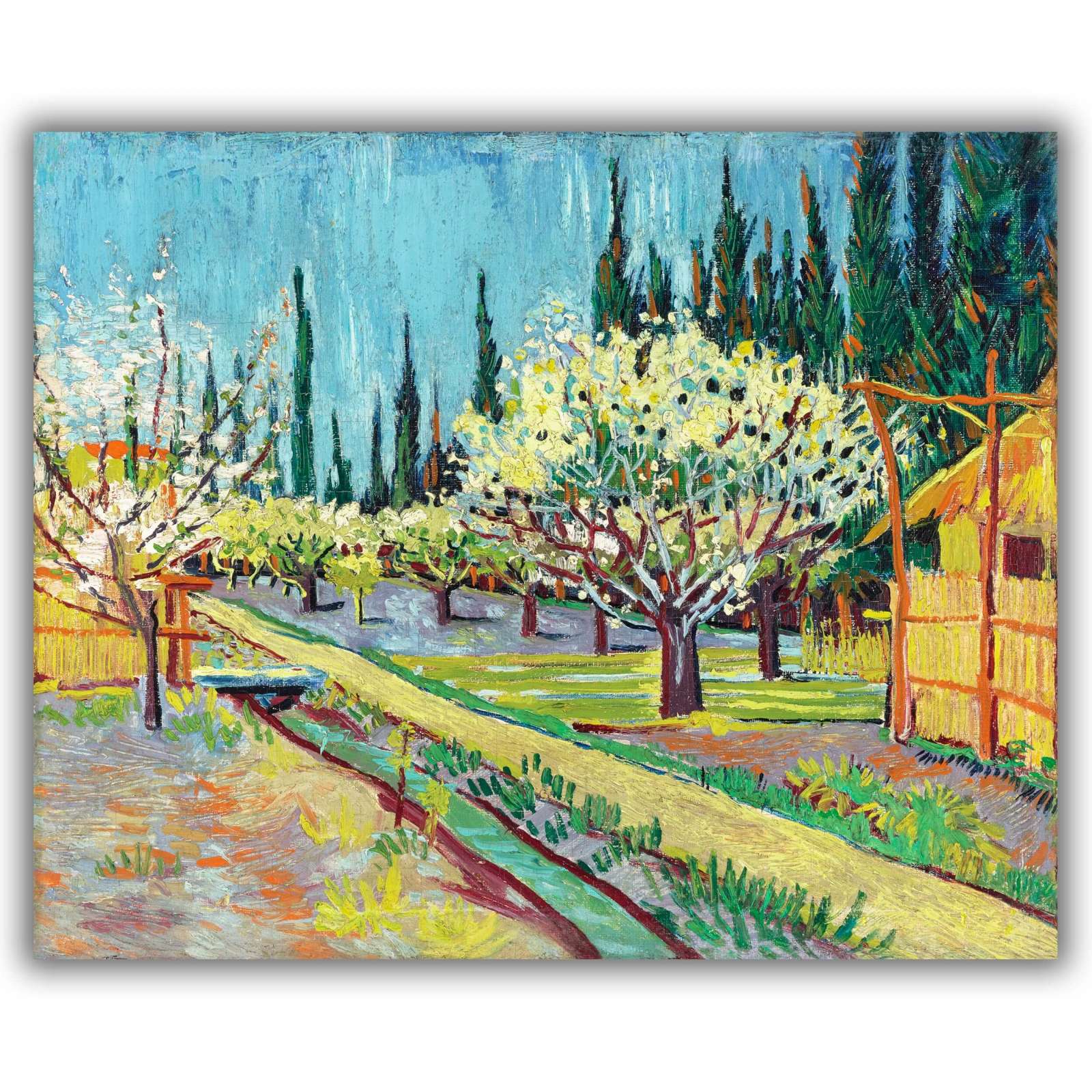 Reprodukcija „Sodas apjuostas kiparisų“, Vincent van Gogh (1888)