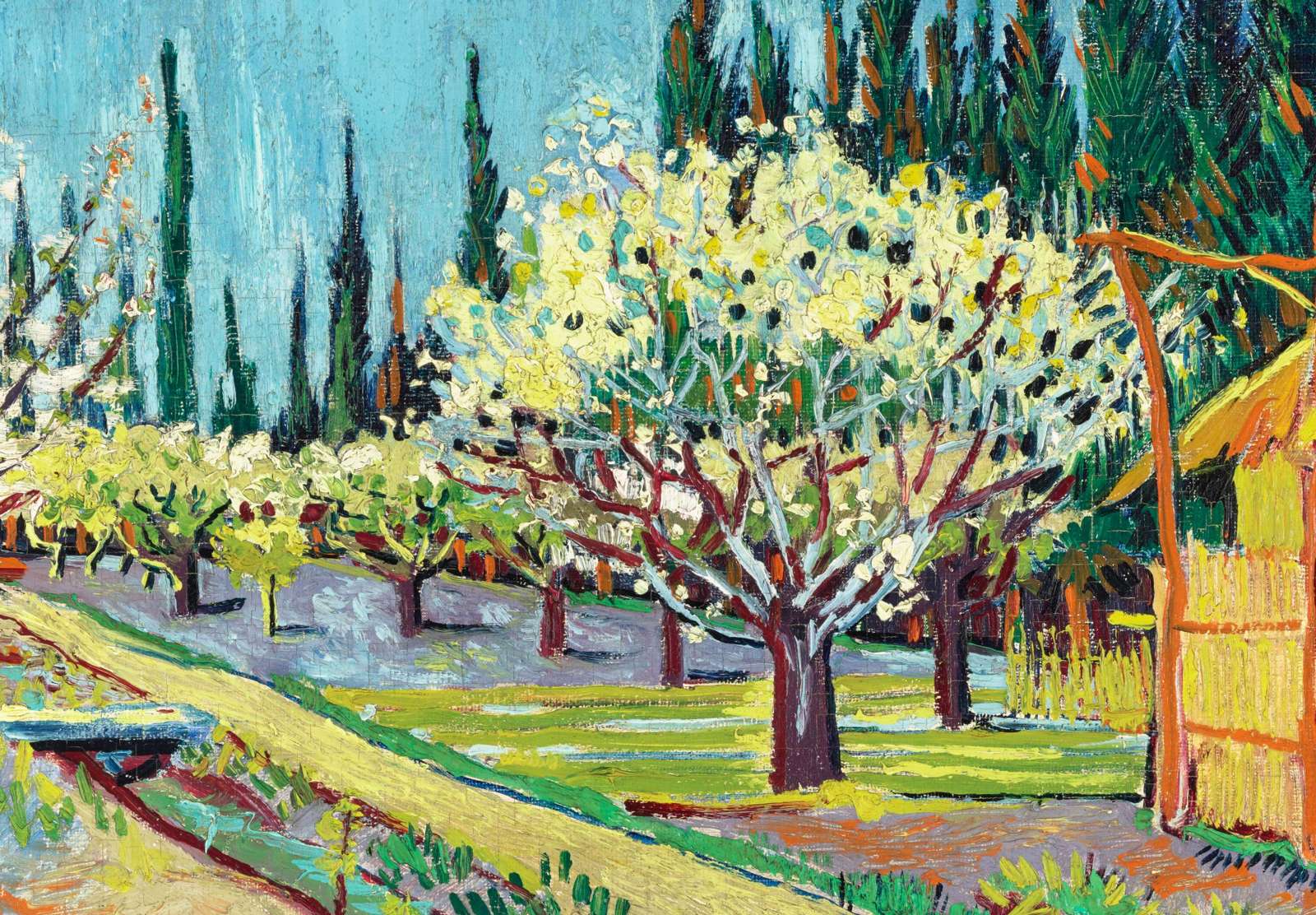 Reprodukcija „Sodas apjuostas kiparisų“, Vincent van Gogh (1888)
