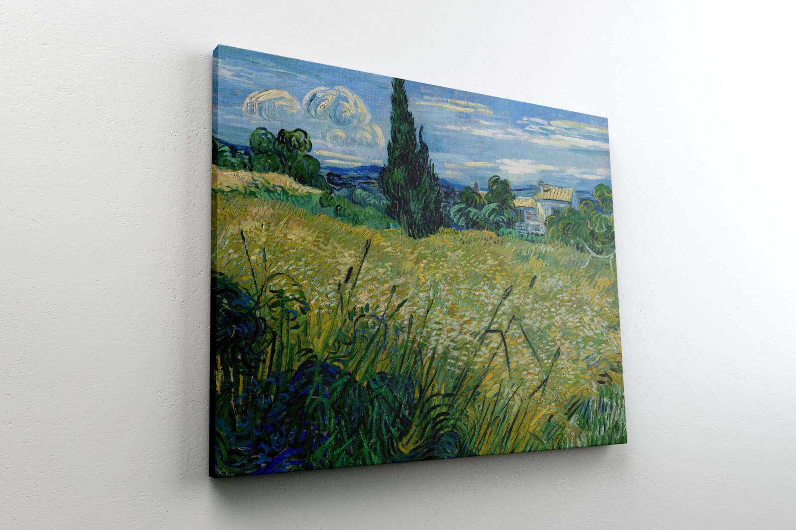 Reprodukcija „Žalias kviečių laukas su kiparisais“, Vincent van Gogh (1889)