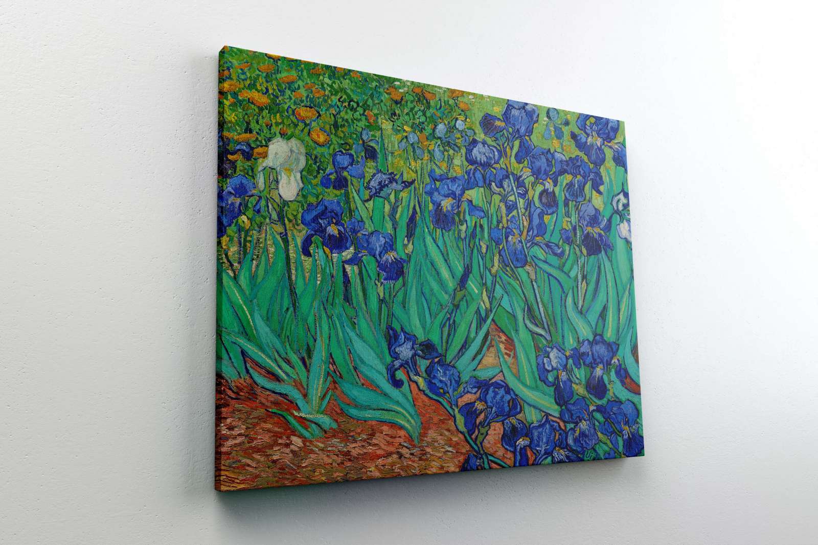 Reprodukcija „Irisai“, Vincent van Gogh (1889)