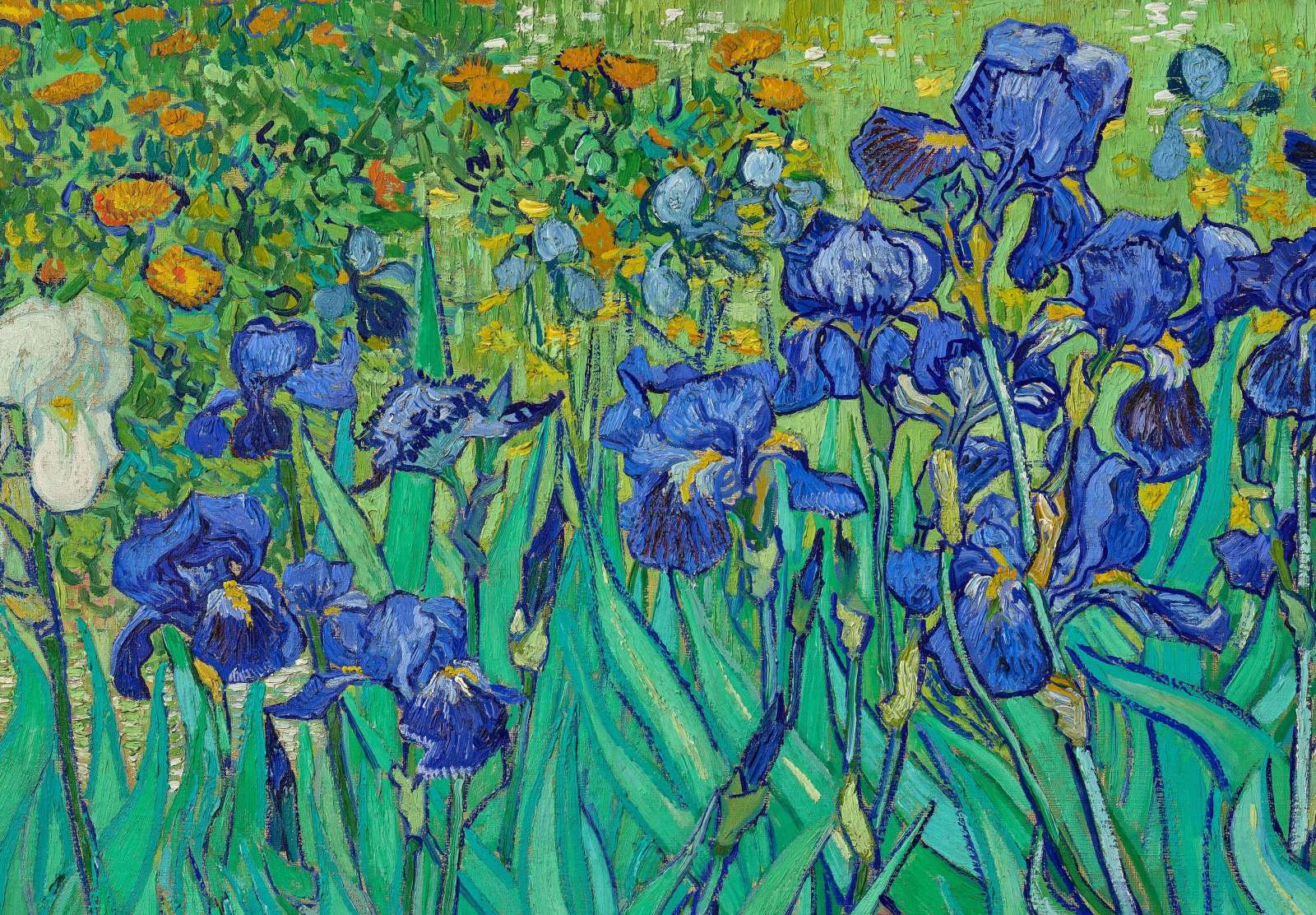 Reprodukcija „Irisai“, Vincent van Gogh (1889)
