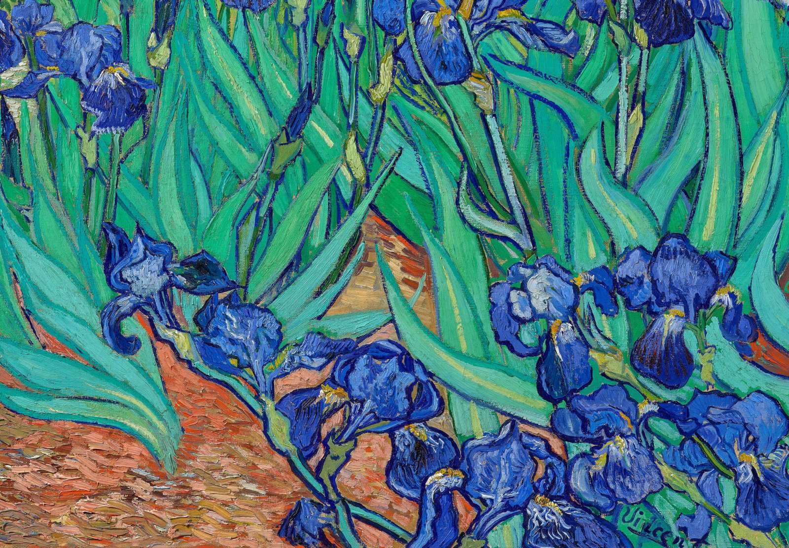 Reprodukcija „Irisai“, Vincent van Gogh (1889)