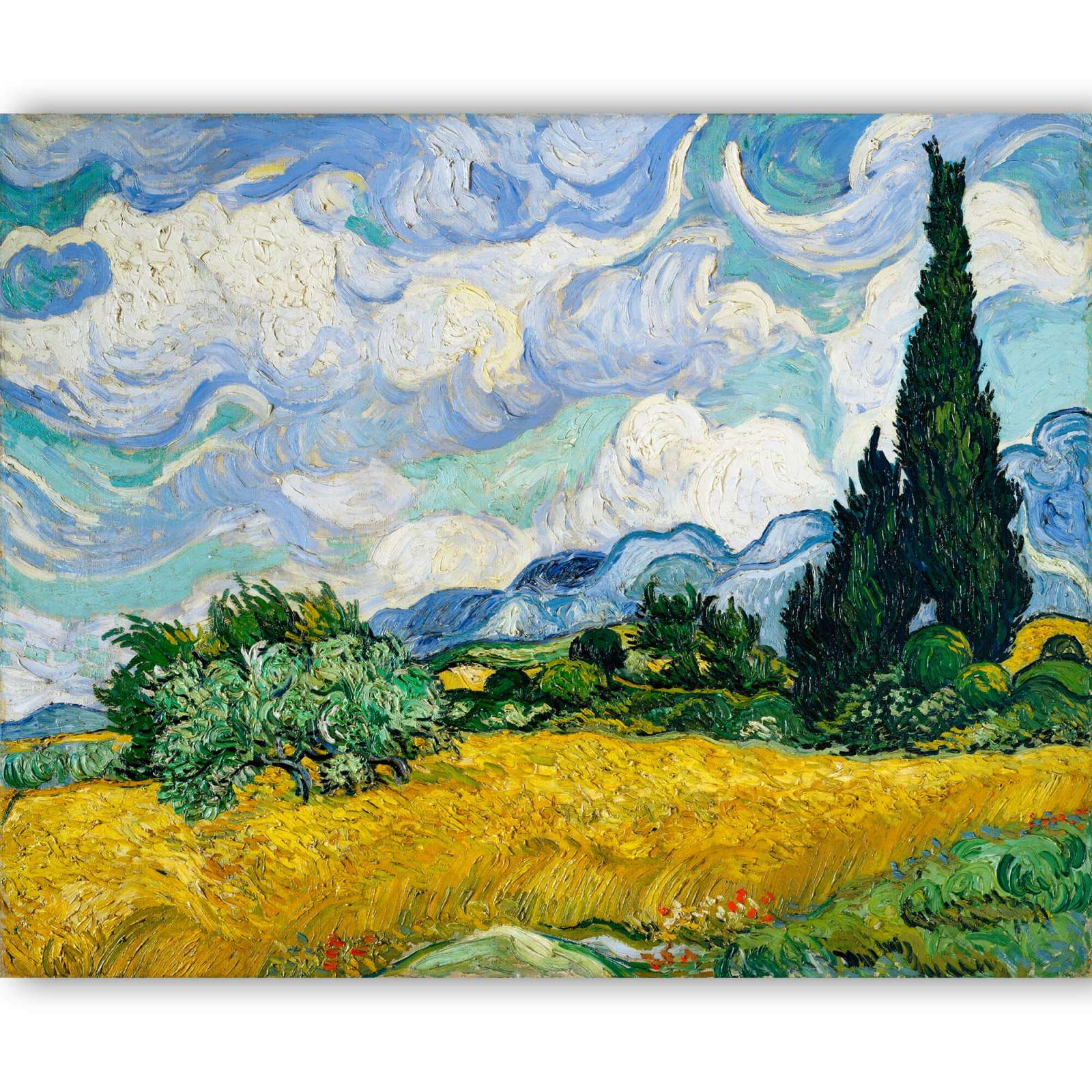 Reprodukcija „Kviečių laukas su kiparisais“, Vincent van Gogh (1889)