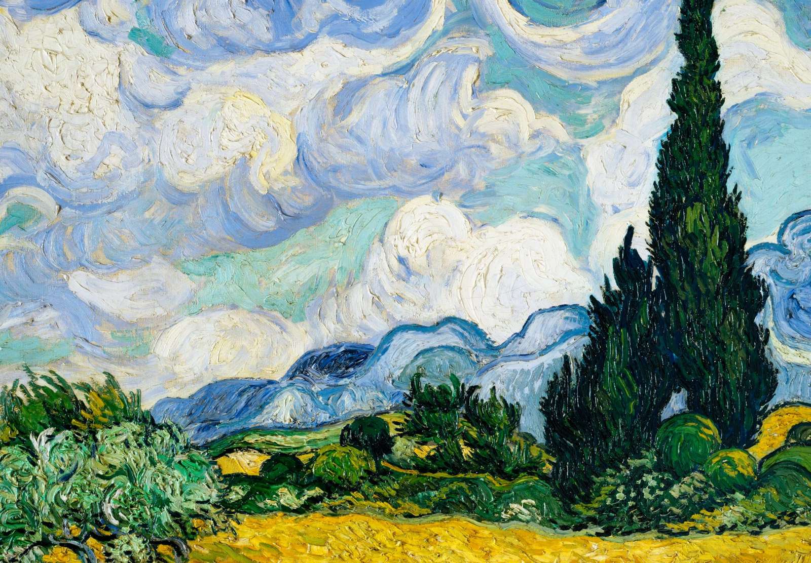 Reprodukcija „Kviečių laukas su kiparisais“, Vincent van Gogh (1889)