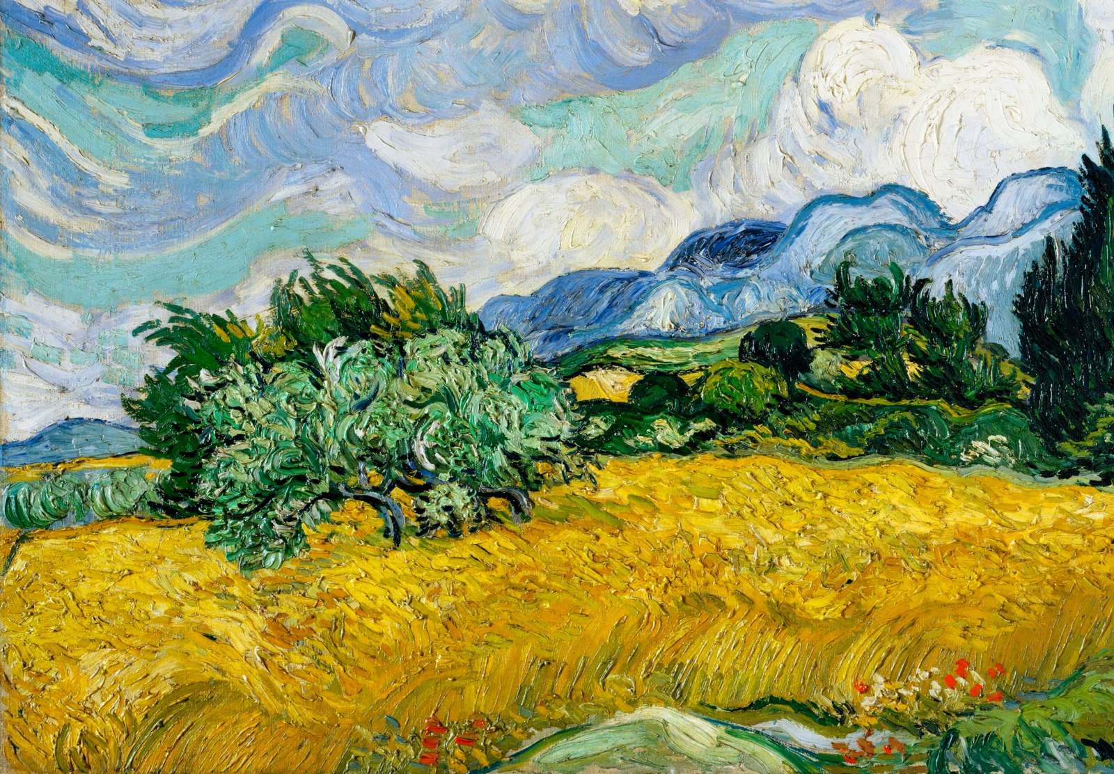 Reprodukcija „Kviečių laukas su kiparisais“, Vincent van Gogh (1889)