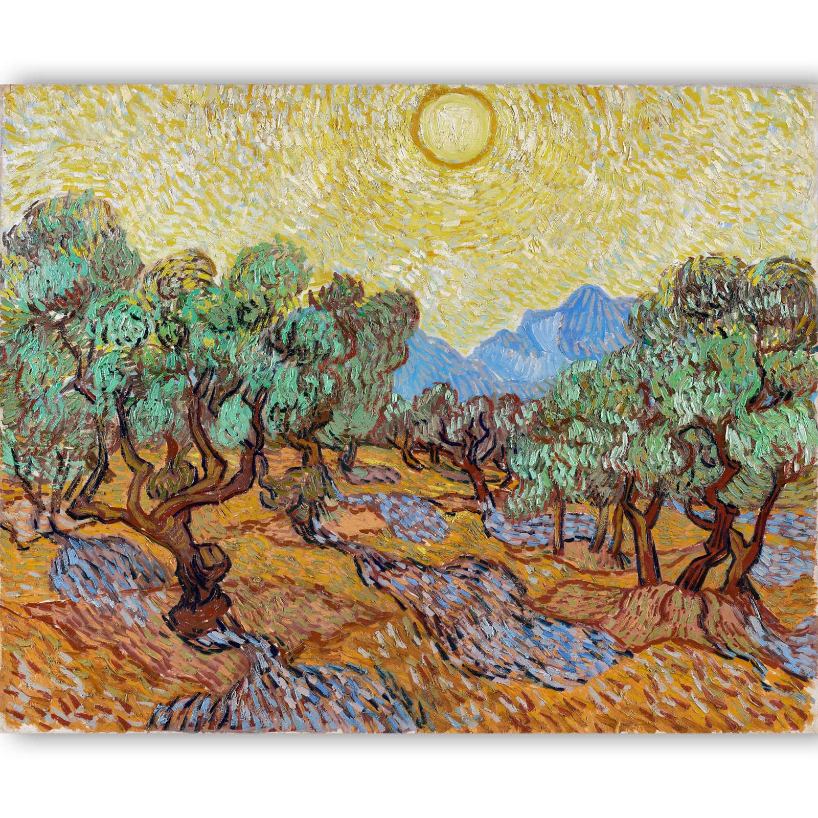 Reprodukcija „Alyvmedžiai“, Vincent van Gogh (1889)