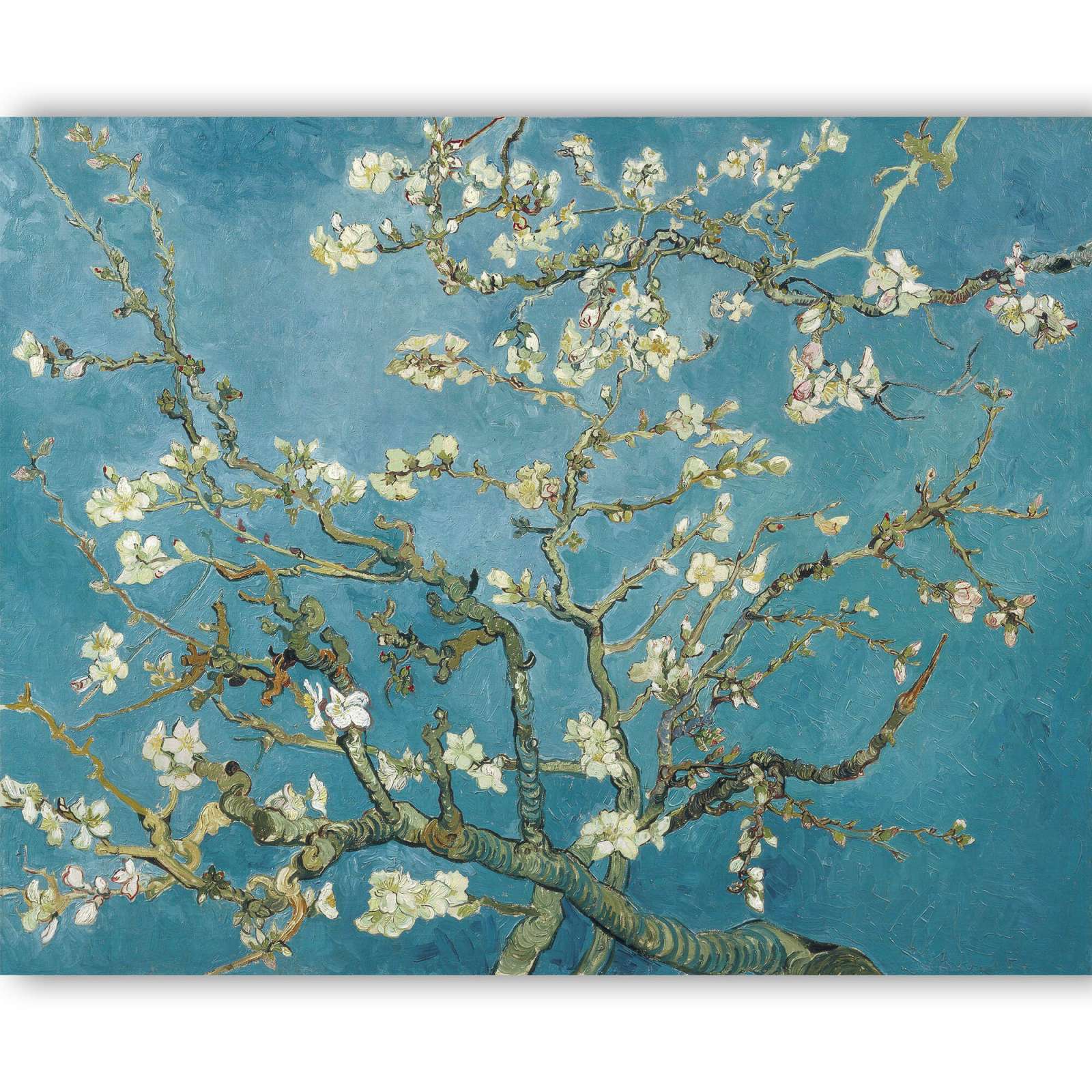 Reprodukcija „Žydintis migdolas“, Vincent van Gogh (1890)