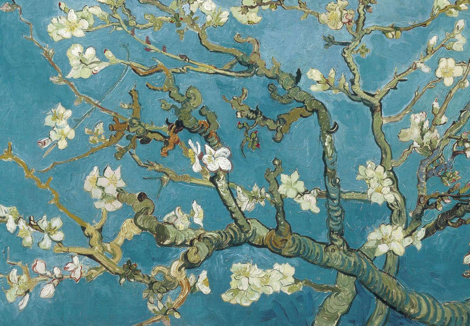 Reprodukcija „Žydintis migdolas“, Vincent van Gogh (1890)