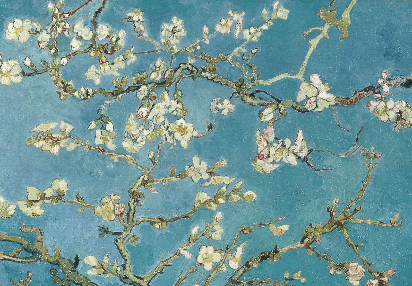 Reprodukcija „Žydintis migdolas“, Vincent van Gogh (1890)