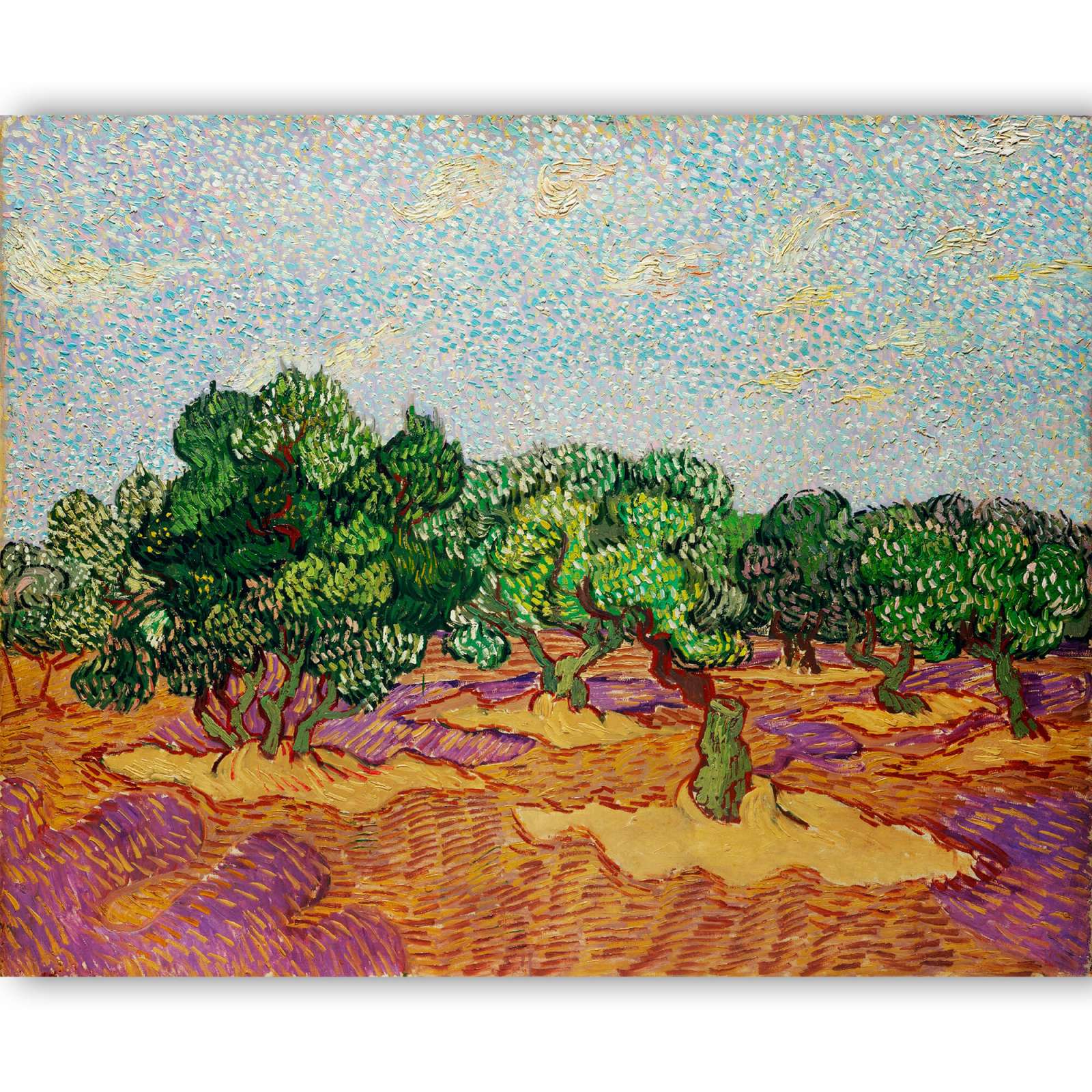 Reprodukcija „Alyvmedžiai“, Vincent van Gogh (1889)