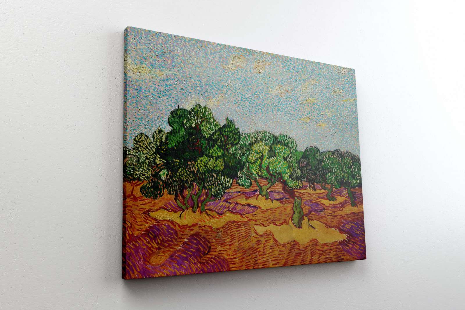 Reprodukcija „Alyvmedžiai“, Vincent van Gogh (1889)