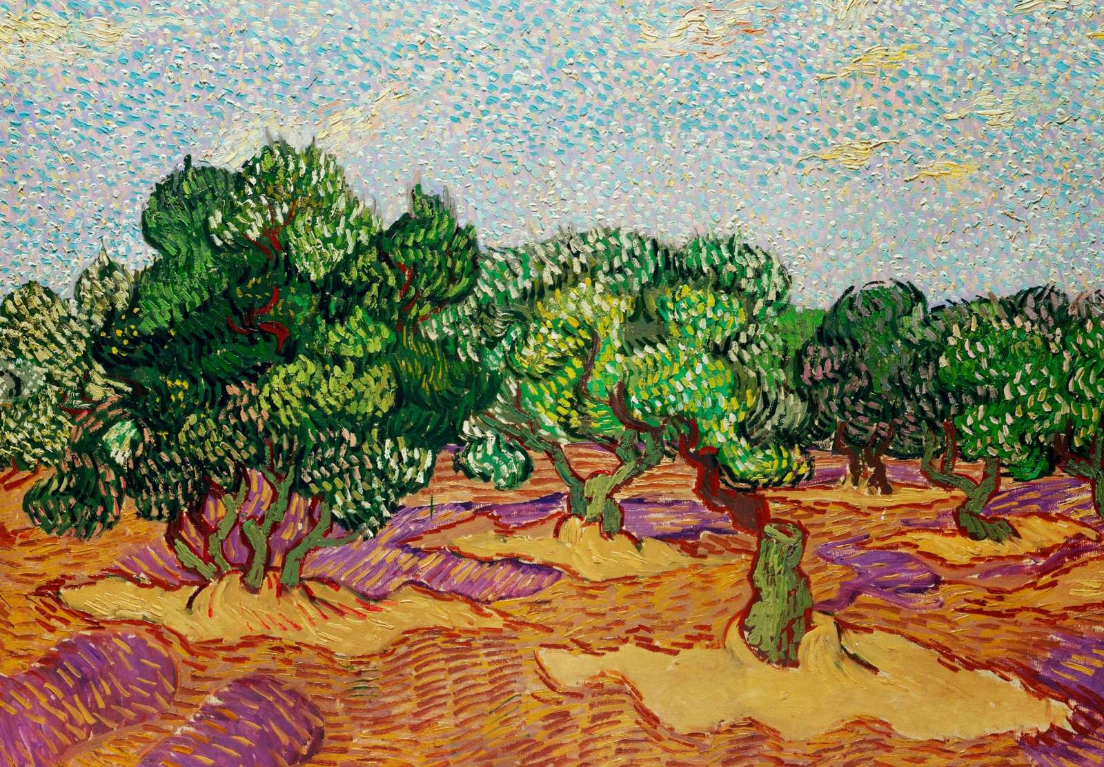 Reprodukcija „Alyvmedžiai“, Vincent van Gogh (1889)