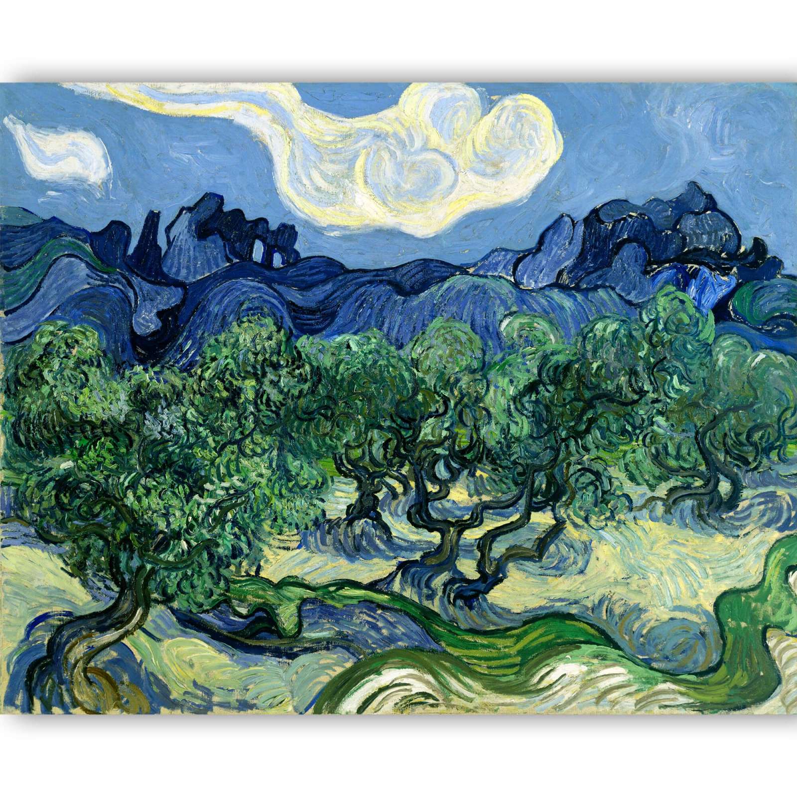 Reprodukcija „Alyvmedžiai Alpėse“, Vincent van Gogh (1889)