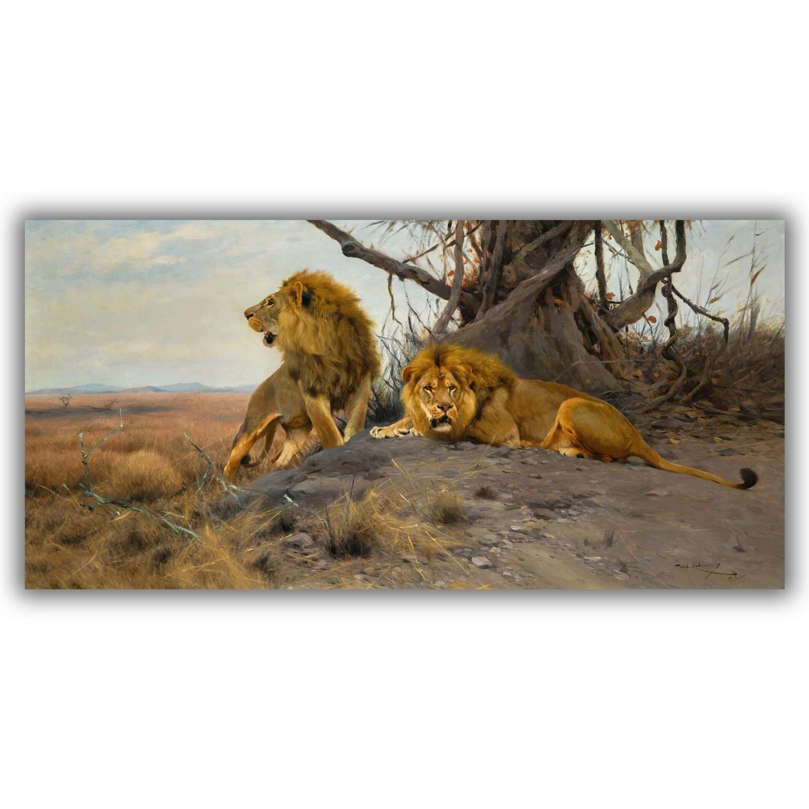 Reprodukcija „Riaumojantys liūtai“, Wilhelm Kuhnert
