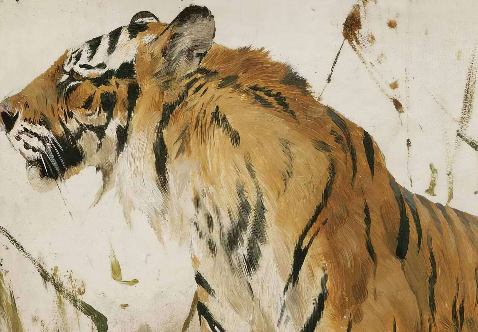 Reprodukcija „Tigro studija“, Wilhelm Kuhnert (1890)