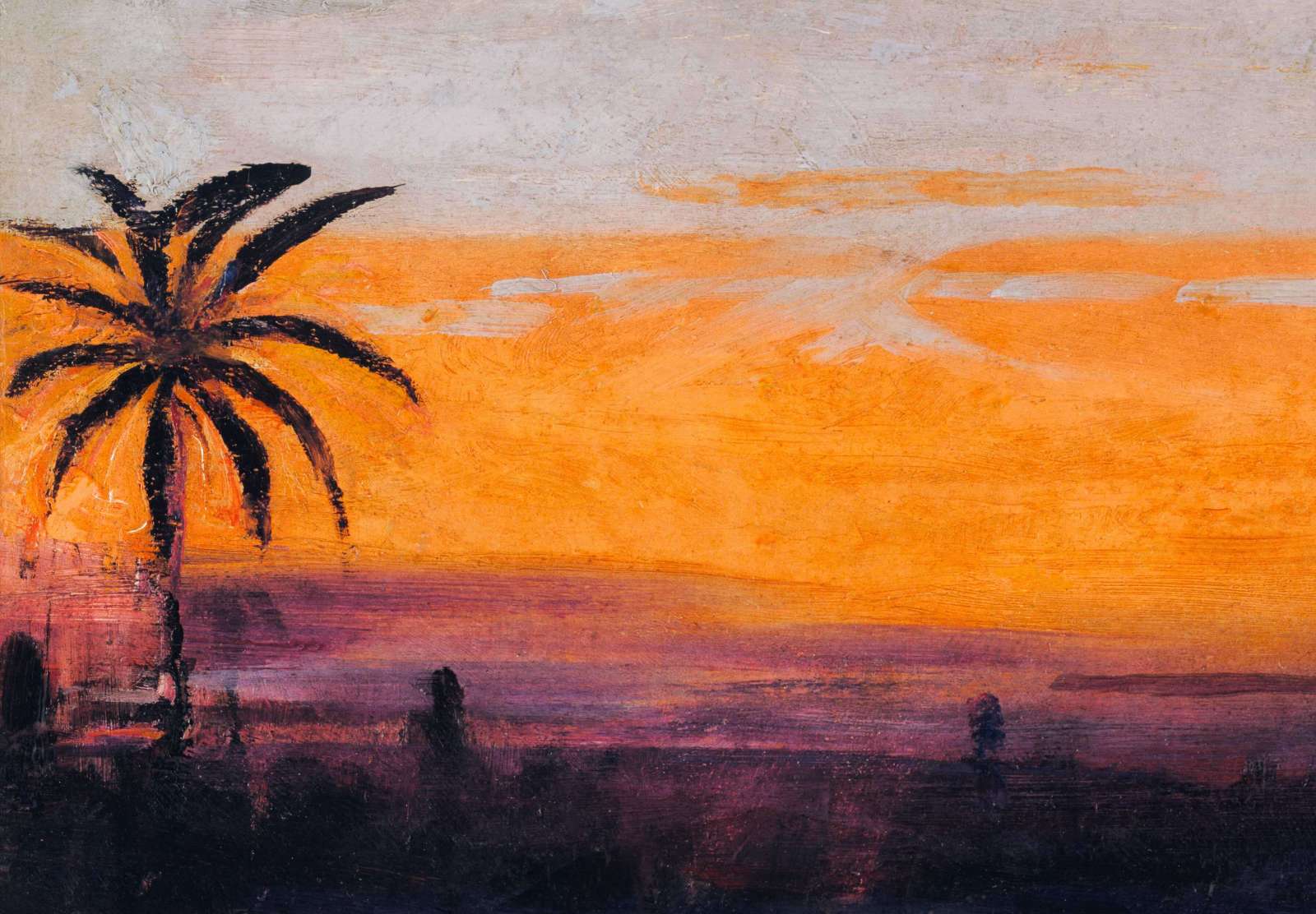 Reprodukcija „Raudonųjų flamingų nuspalvintas dangus“, Abbott Handerson Thayer
