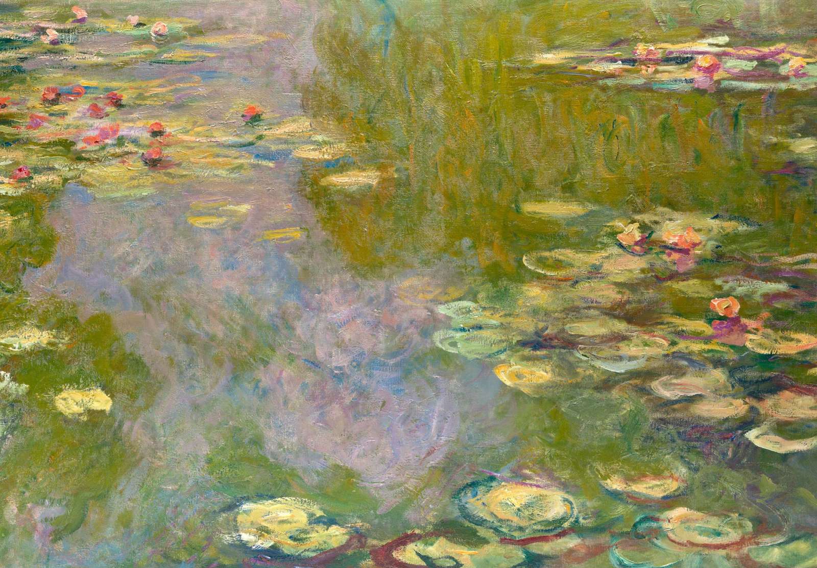 Reprodukcija „Vandens lelijos“, Claude Monet (1919)
