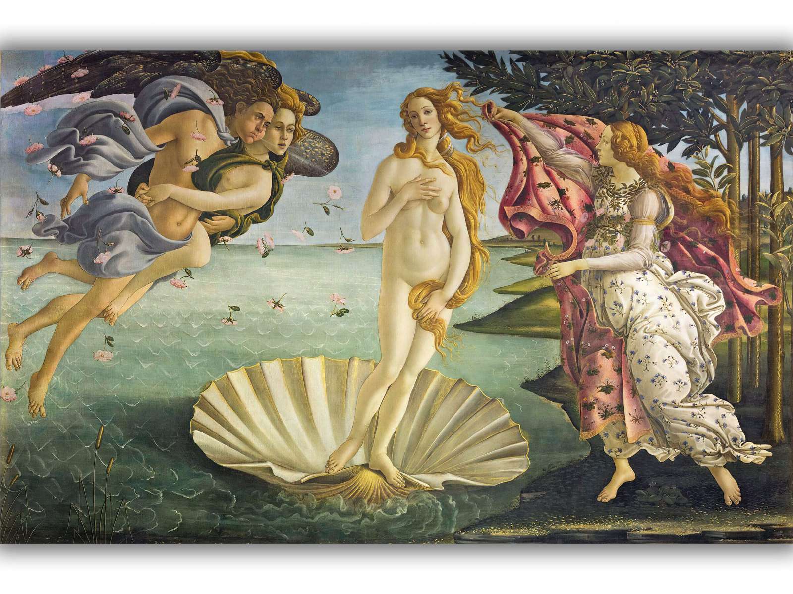 Reprodukcija „Veneros gimimas“, Sandro Botticelli (1485)