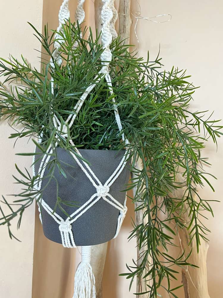 Macrame gėlių laikiklis