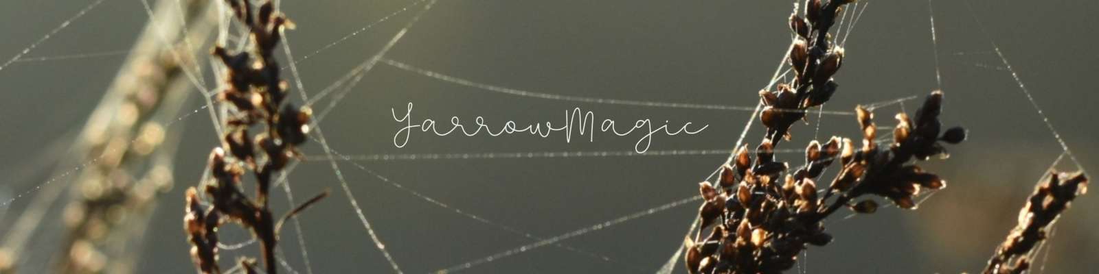 YarrowMagic