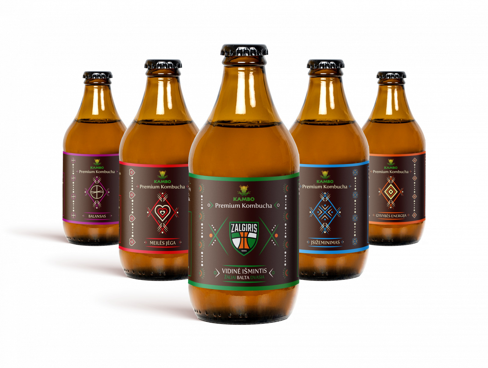Kombucha degustacinis rinkinys (5vntx330ml)''