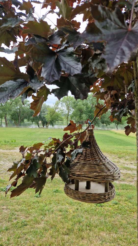 Rankų darbo Paukščių lesykla