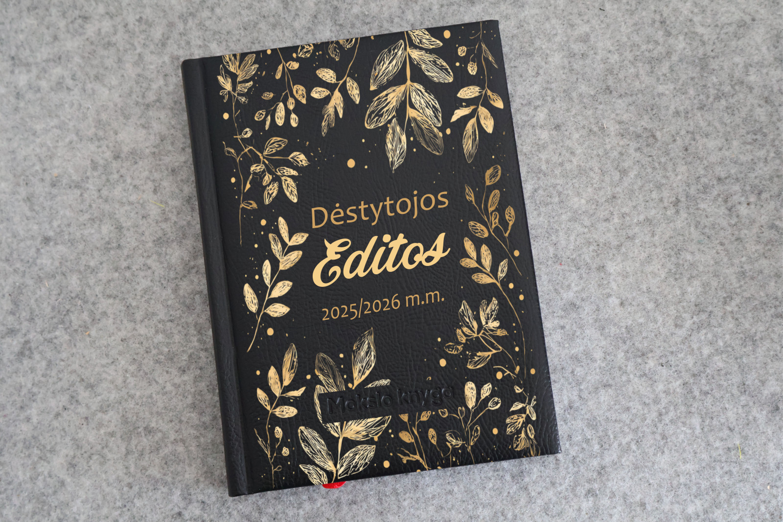 Dėstytojo darbo kalendorius ir dienynas 2025/2026 su vardu