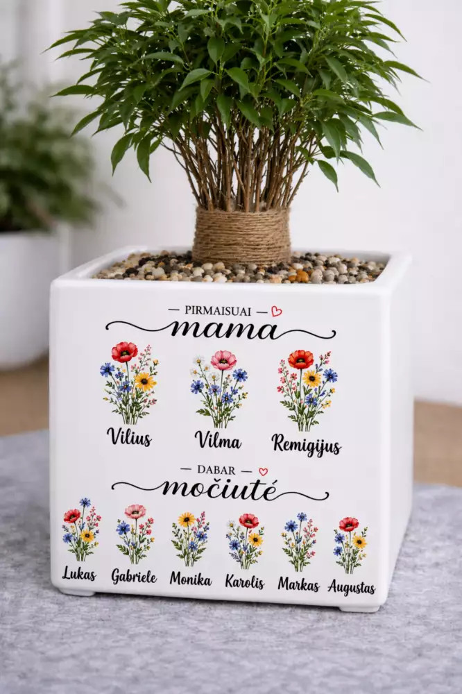 Pirmiausia mama, dabar močiutė – dovana močiutei su vaikų ir anūkų vardais Pirmiausia mama, dabar močiutė – dovana močiutei su vaikų ir anūkų vardais