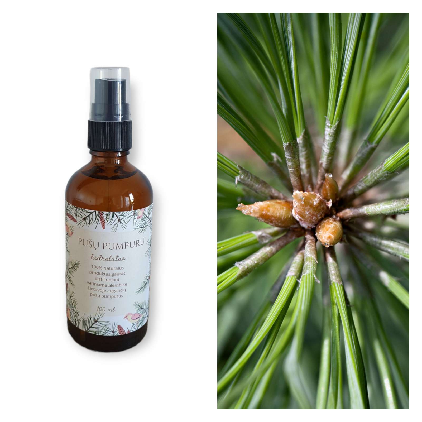 PUŠŲ PUMPURŲ HIDROLATAS 100ML PUŠŲ PUMPURŲ HIDROLATAS 100ML