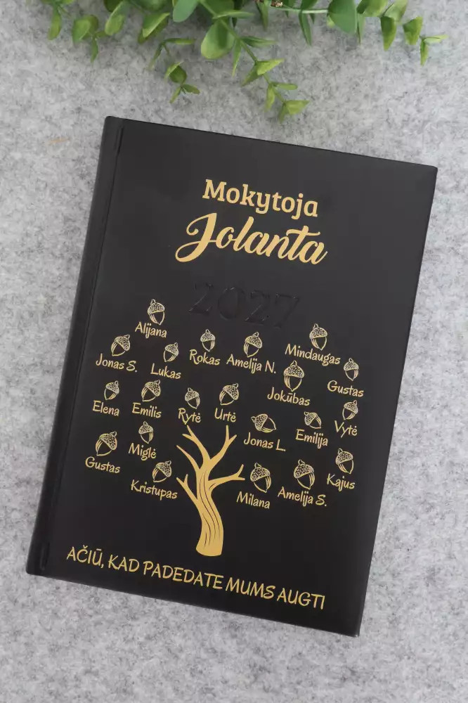 Dovana mokytojai ar auklėtojai – darbo knyga su ąžuolu, giliukais ir vaikų vardais Dovana mokytojai ar auklėtojai – darbo knyga su ąžuolu, giliukais ir vaikų vardais
