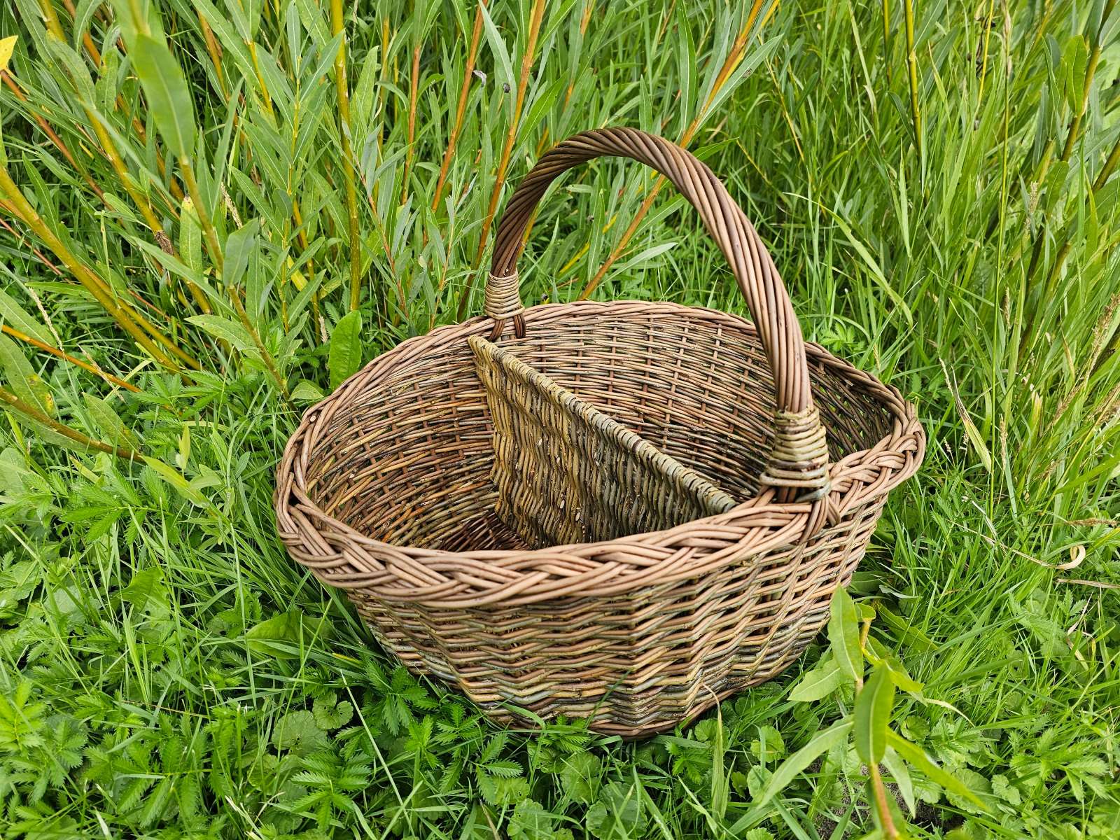 Ovali pikniko pintinė Ovali pikniko pintinė