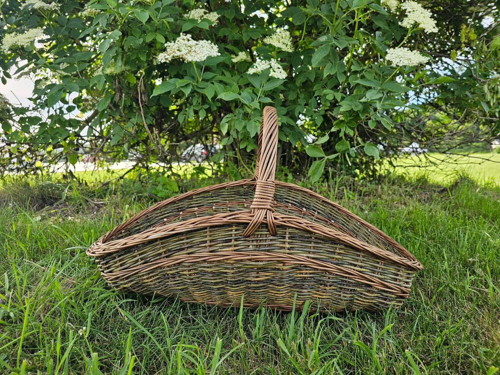 Didelė sodo pintinė iš nežievintų vytelių Didelė sodo pintinė iš nežievintų vytelių